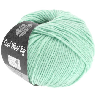 Lana Grossa - Cool Wool Big pastellgrün (978)  
Lana Grossa - Cool Wool Big pastel green (978)