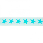 Elastic ribbon with stars 40mm mint on light mint