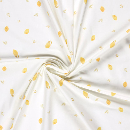 Bio Jersey - Obst & Früchte offwhite