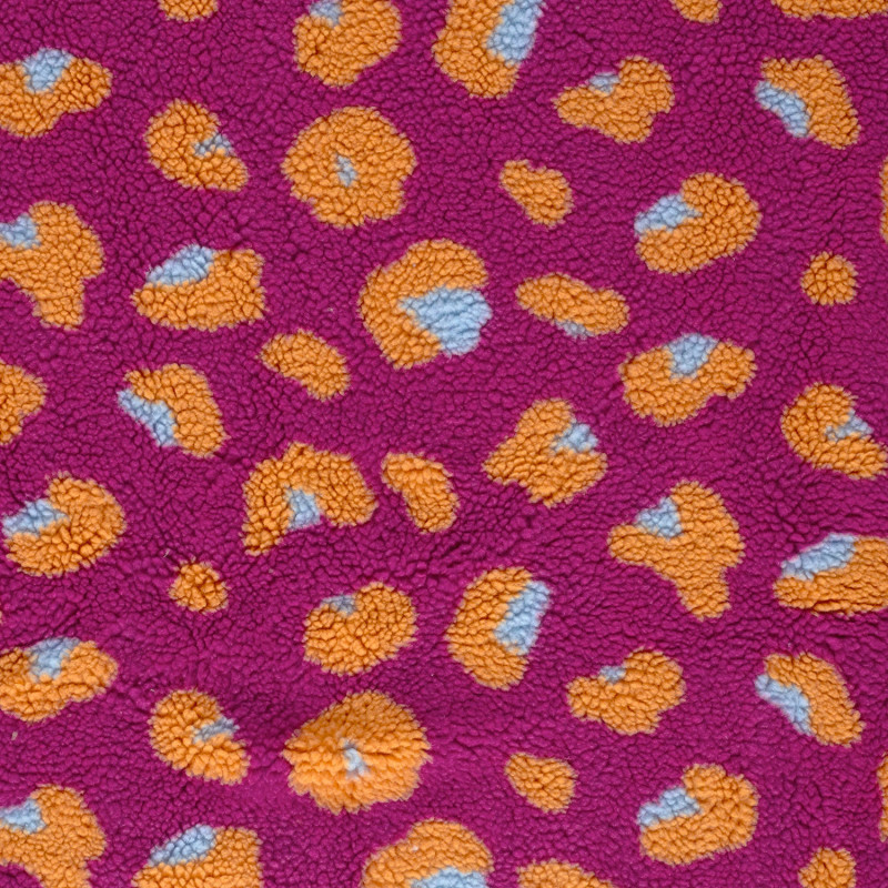 Teddy - Fuchsia Lion Teddy - Fuchsia Lion