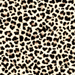 Jersey - Leopard champagner