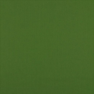 Baumwollpopline - waldgrün (v)
