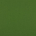 Woven Cotton Popeline - forest green (v)