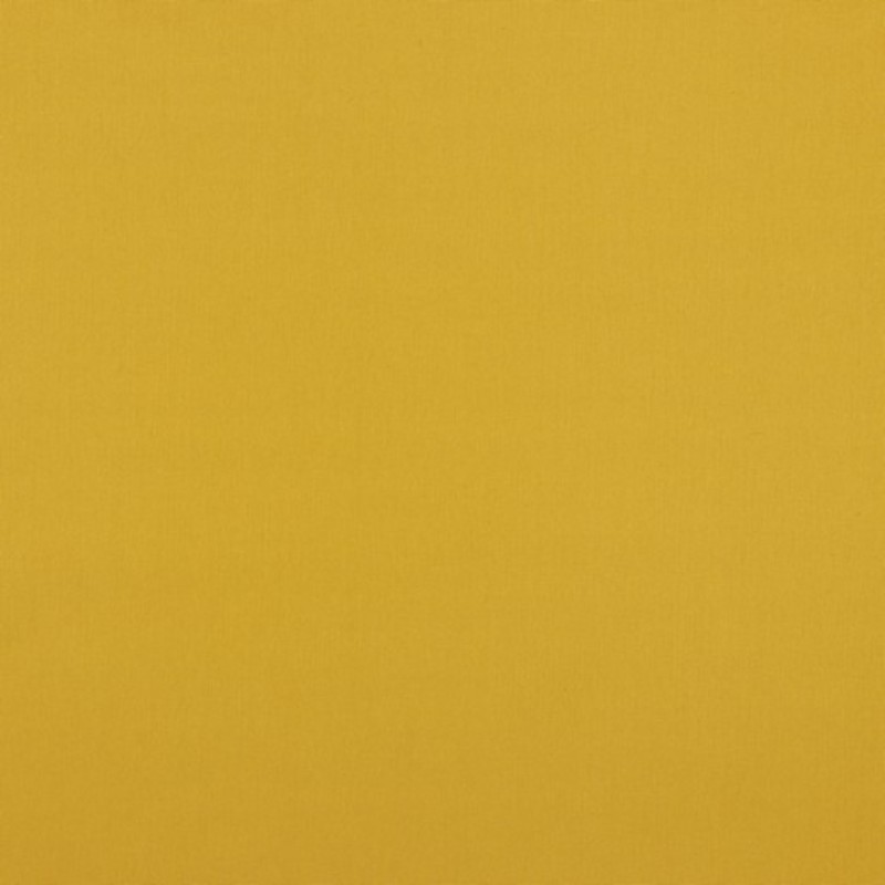 Cotton poplin - mustard (v)