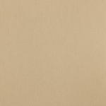 Cotton poplin - sand (v)