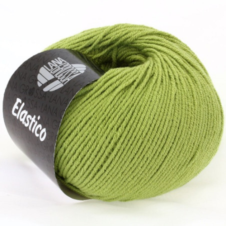 Lana Grossa - Pistachio Elastic (084)