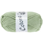 Lana Grossa - Coton gris vert (97)