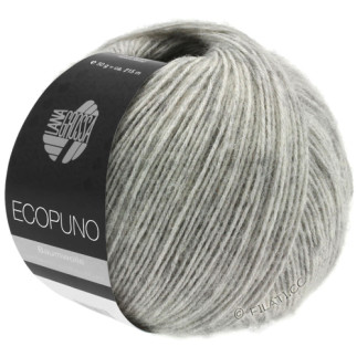 Thick Wool - Ecopuno hellgrau (14)