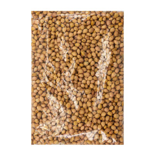 Iris Seeds 500 gr