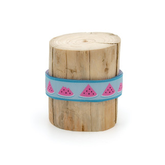 Ruban tissé - Urmelis Stoffwelt - Melon Party turquoise