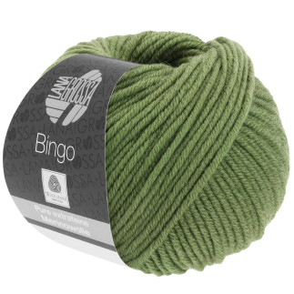 Lana Grossa - Olive Bingo (742)