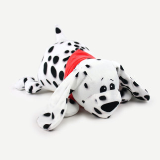 Nicki - Kullaloo Shorty Tiger Spotted (Cheval de loisir) - 100 x 75 cm