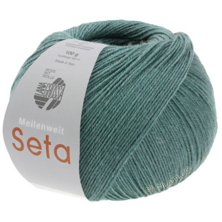 Lana Grossa - Meilenweit 100 Seta gris-vert (7)