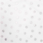 Tissu enduit de PVC - Coupon Points argenté sur blanc, 25 x 70cm