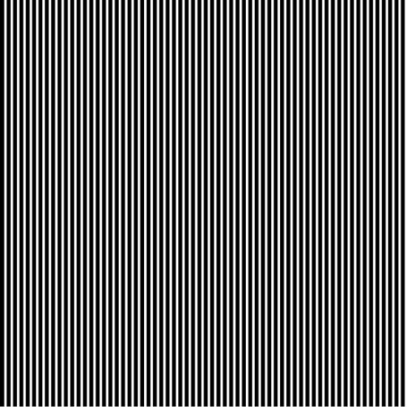 Cotton poplin - Stripe black/white (v)