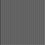 Cotton poplin - Stripe black/white (v) Cotton poplin - Stripe black/white (v)