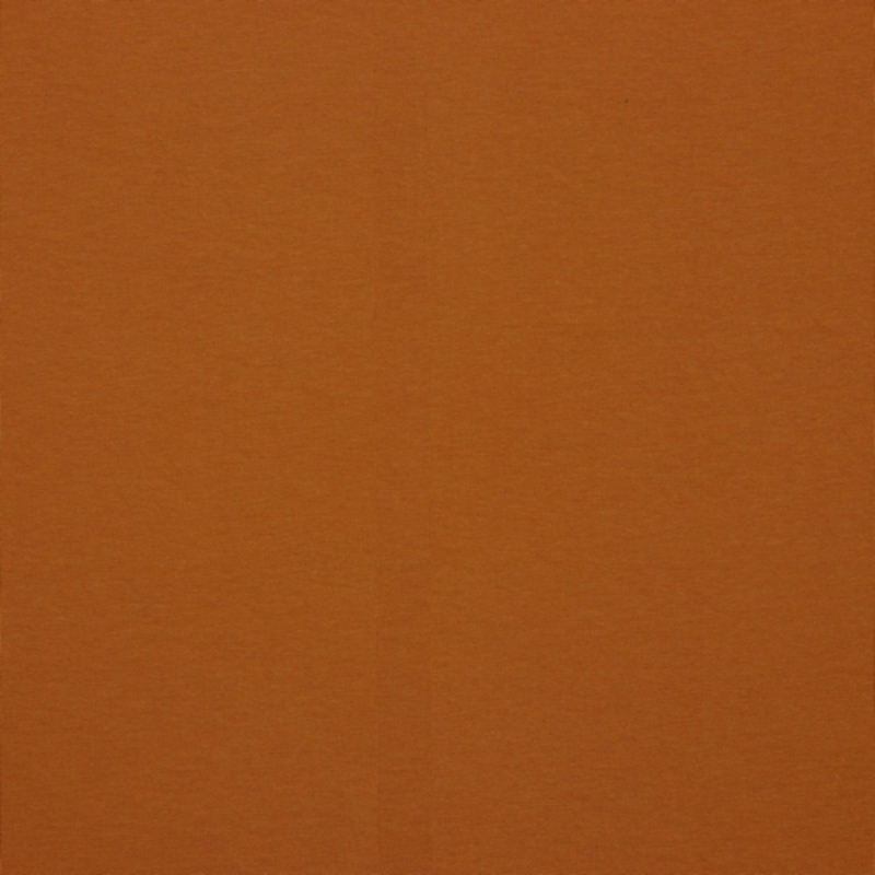 Bio french terry - uni terre cuite (v23)