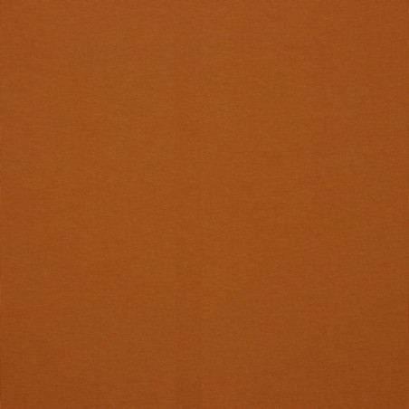 Bio French Terry - uni terracotta (version)