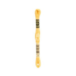 Embroidery thread - DMC Mouliné - 0019 yellow