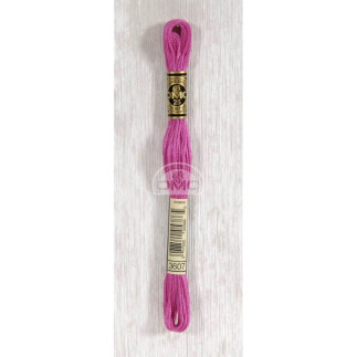 Embroidery thread - DMC Mouliné - 3607 erika