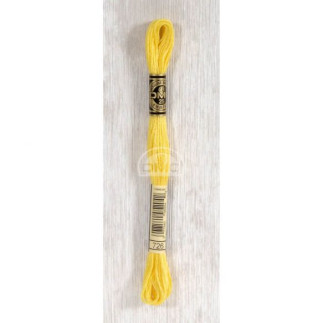 Embroidery thread - DMC Mouliné - 0726 sun yellow