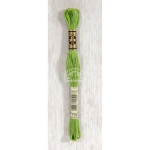 Embroidery thread - DMC Mouliné - 0704 grass green