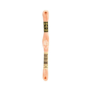 Embroidery thread - DMC Mouliné - 0020 salmon pink