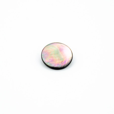 Shank button - mother of pearl 25mm (b)
