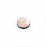 Shank button - mother of pearl 25mm (b)