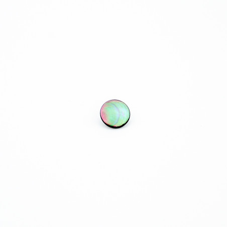 Shank button - mother of pearl 15mm (b)