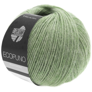 Thick Wool - Ecopuno hellgreen (20)