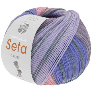 Lana Grossa - Meilenweit 100 Seta Calmo Purple (3323)