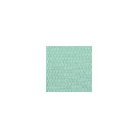 Taschengurtband soft 25mm - hellmint (D871)