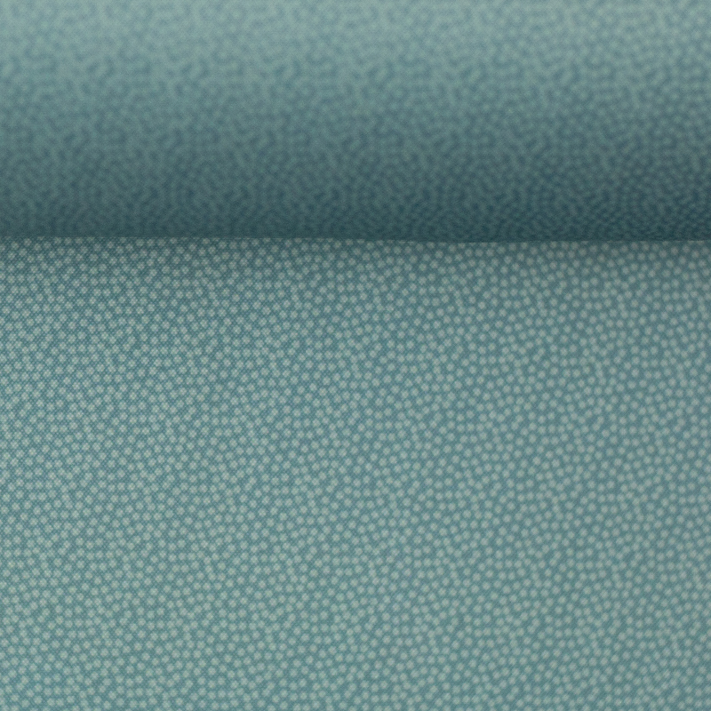 Nano Softshell - Fiete mini dots dusty mint