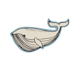 Applikation - Whale