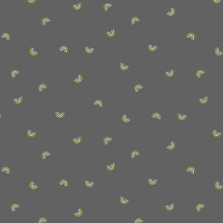 Coton biologique - Cotton Steel - Rainbows anthracite