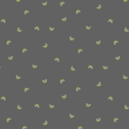 Coton biologique - Cotton Steel - Rainbows anthracite