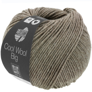 Lana Grossa - Cool Wool Big melange graubraun (1621)