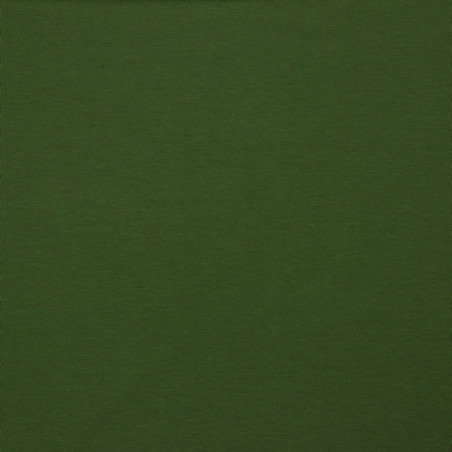 Bio French Terry - uni vert gras (v)