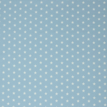 Popeline de coton - étoiles bleu clair (v)