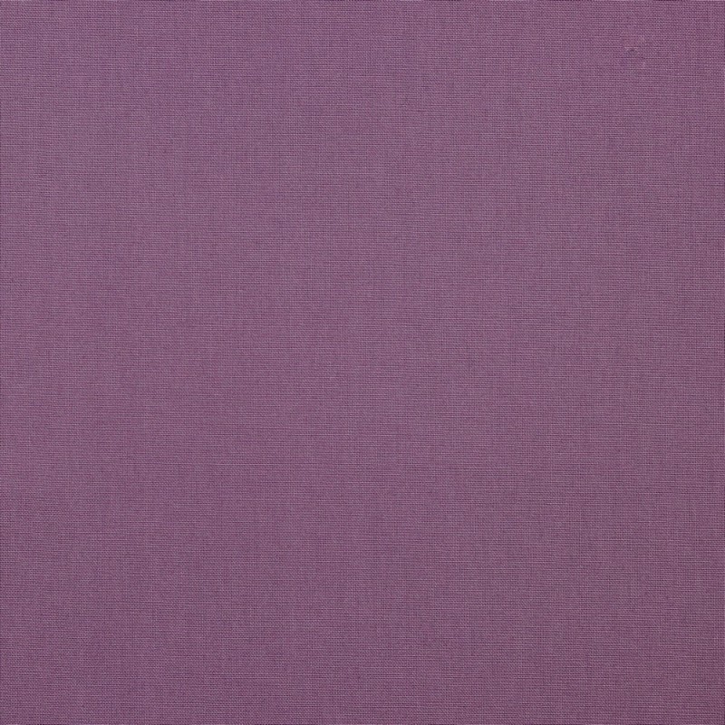 Canvas - Plain old purple (v)