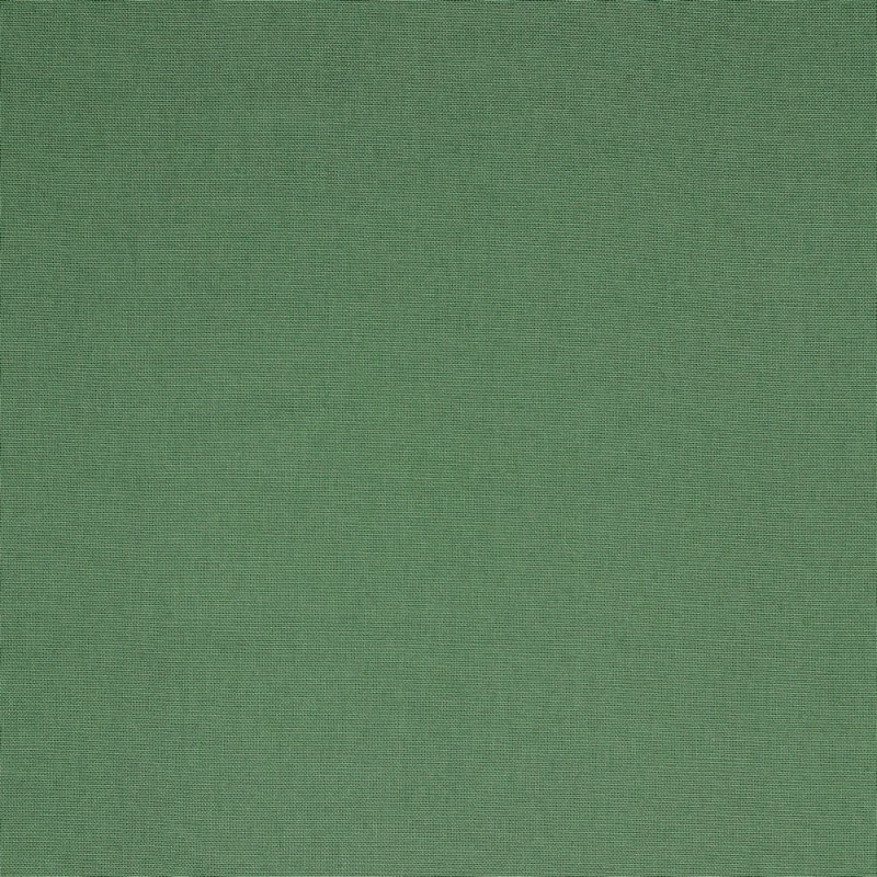 Canvas - Plain olive (v)