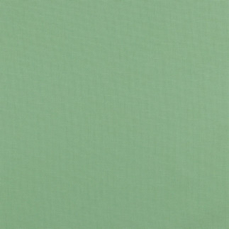 Canvas - Uni pistachios (v)