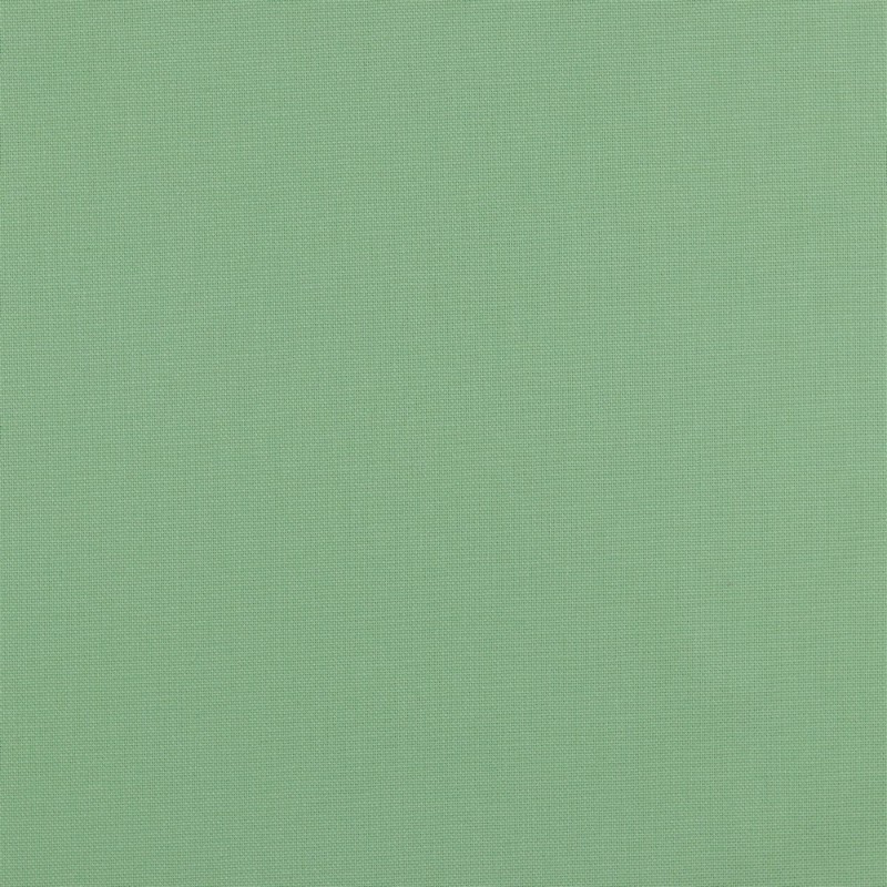Canvas - Uni pistachio (v)