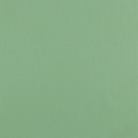 Canvas - Uni pistachios (v)