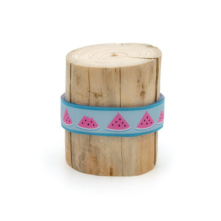 Ruban tissé 10 m - Urmelis Stoffwelt - Melon Party turquoise
