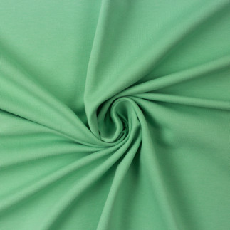 Jersey Vanessa pale green Saison FS (262)