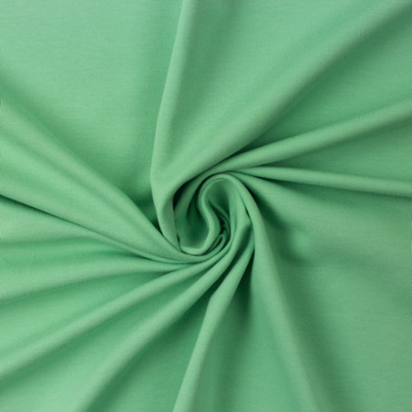 Jersey Vanessa pale green Saison FS (262)