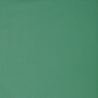 Coton bio - bonbon nature menthe foncée (060)