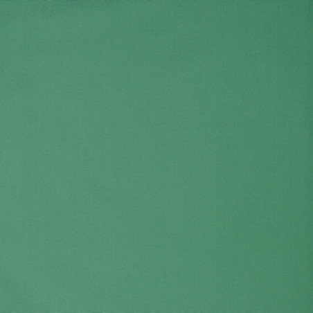 Organic cotton - candy plain dark mint (060)